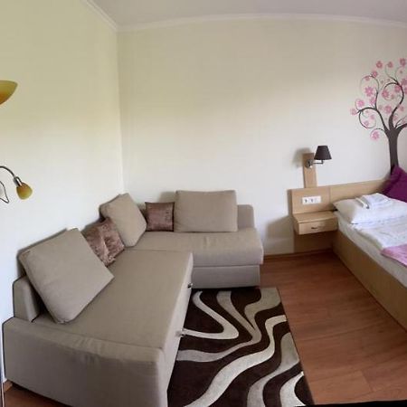 Franci Wellness Apartman זלקרוס מראה חיצוני תמונה