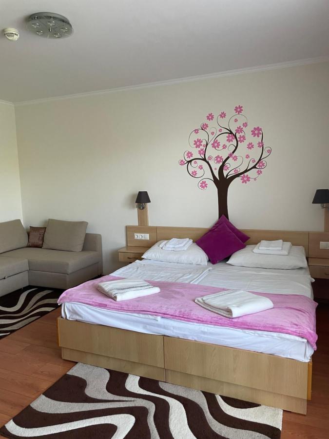 Franci Wellness Apartman זלקרוס מראה חיצוני תמונה